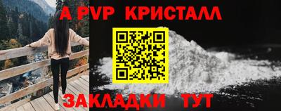 ешки Новозыбков
