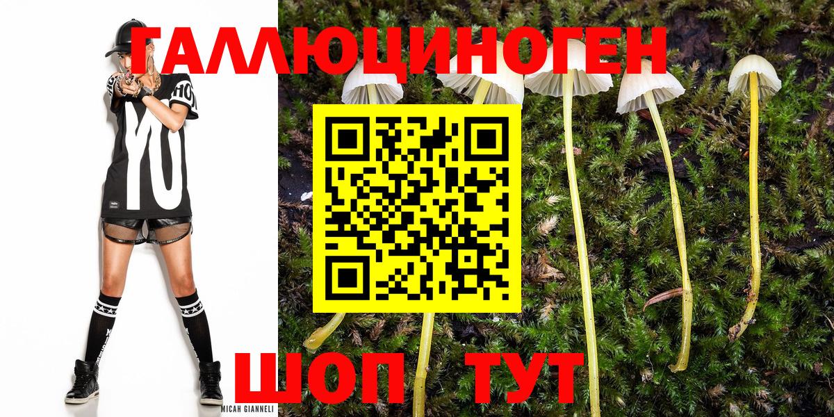Псилоцибиновые грибы GOLDEN TEACHER Углич