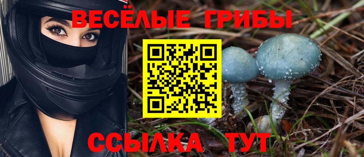 Псилоцибиновые грибы ЛСД  Вход с VPN  Углич 