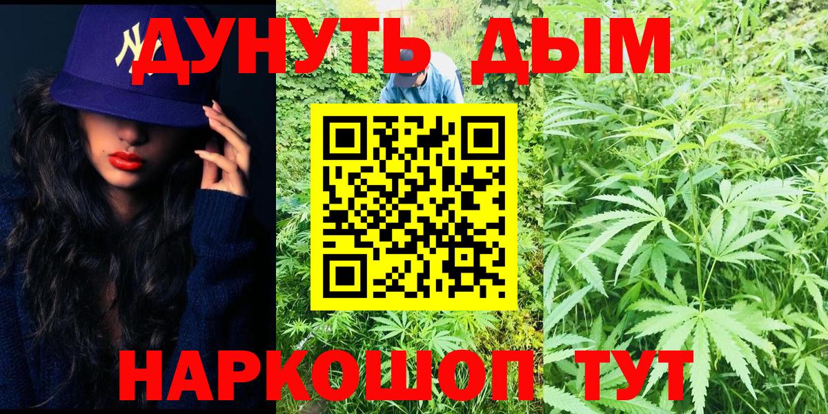 Каннабис SATIVA & INDICA Углич